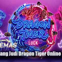 Taktik Menang Judi Dragon Tiger Online Terpercaya